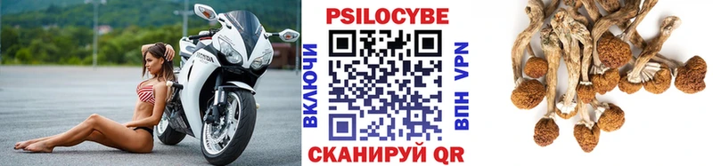 Псилоцибиновые грибы Psilocybe OMG ТОР Няндома